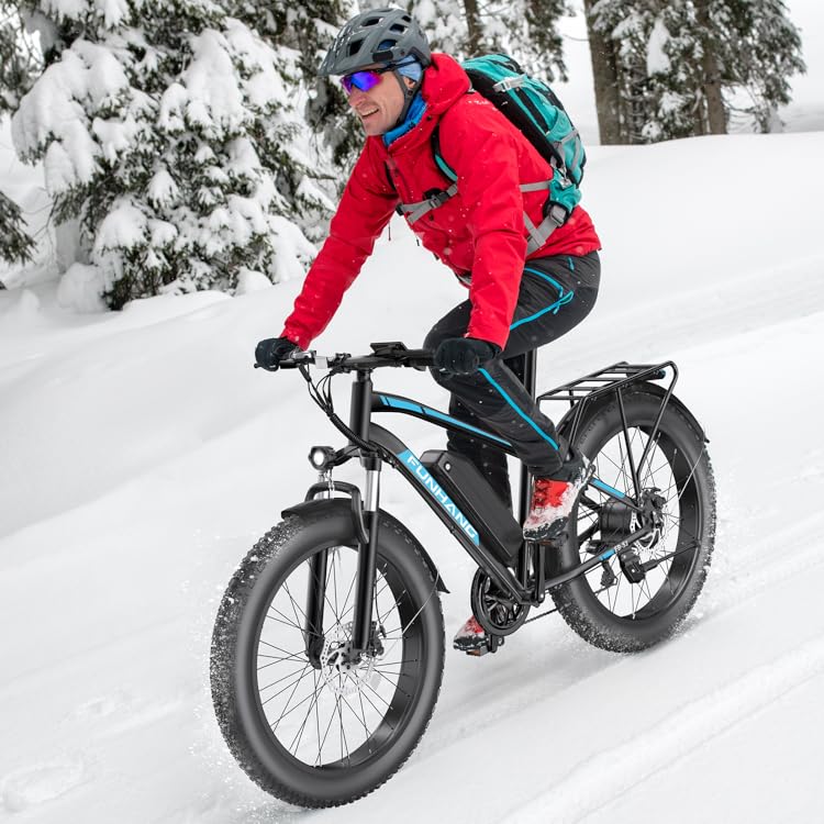 Fat Tire Ebike